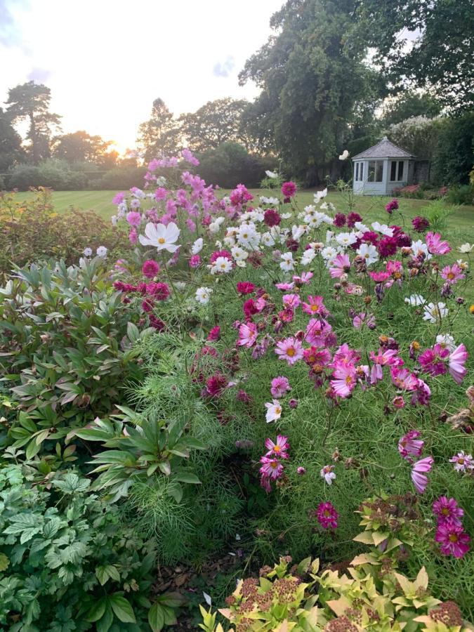 Dalton House Bed And Breakfast Eksteriør billede